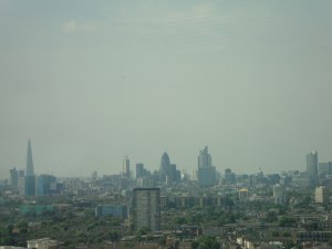DSC02316