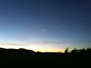 IMG_6758