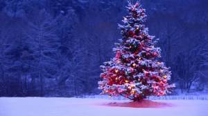 tumblr_static_decorated-christmas-tree